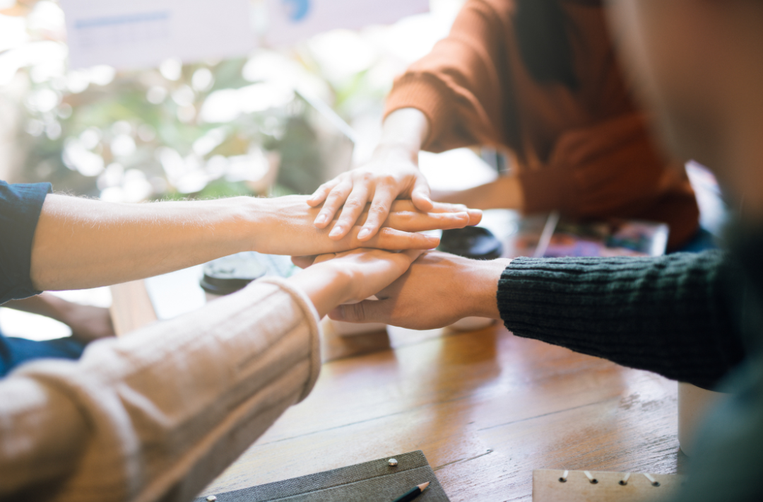 専門職向け事業サポート